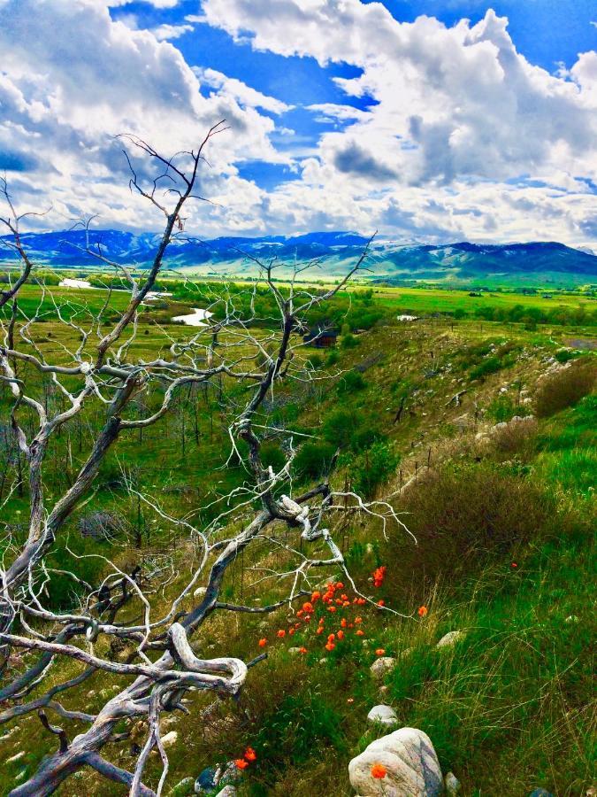 Pine Creek Cabin Livingston Montana Экстерьер фото