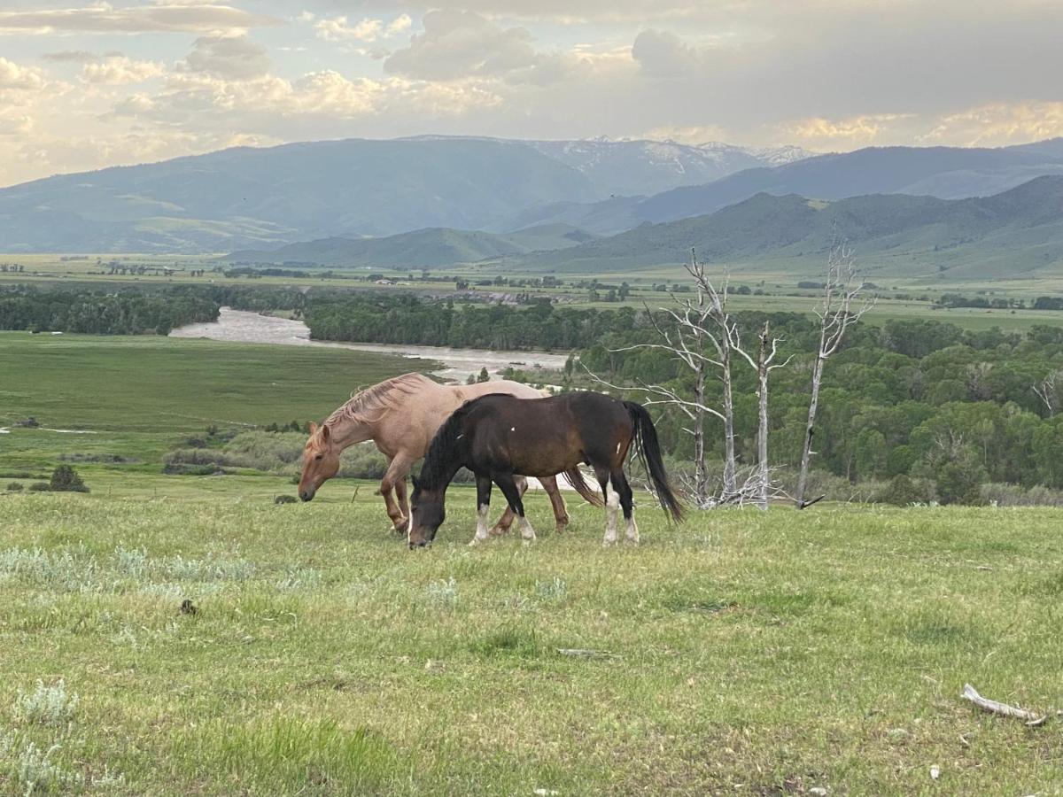 Pine Creek Cabin Livingston Montana Экстерьер фото