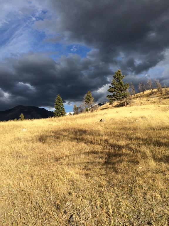 Pine Creek Cabin Livingston Montana Экстерьер фото